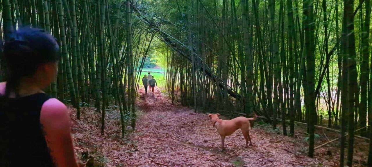 Pousada Green Valley São Roque Eksteriør bilde